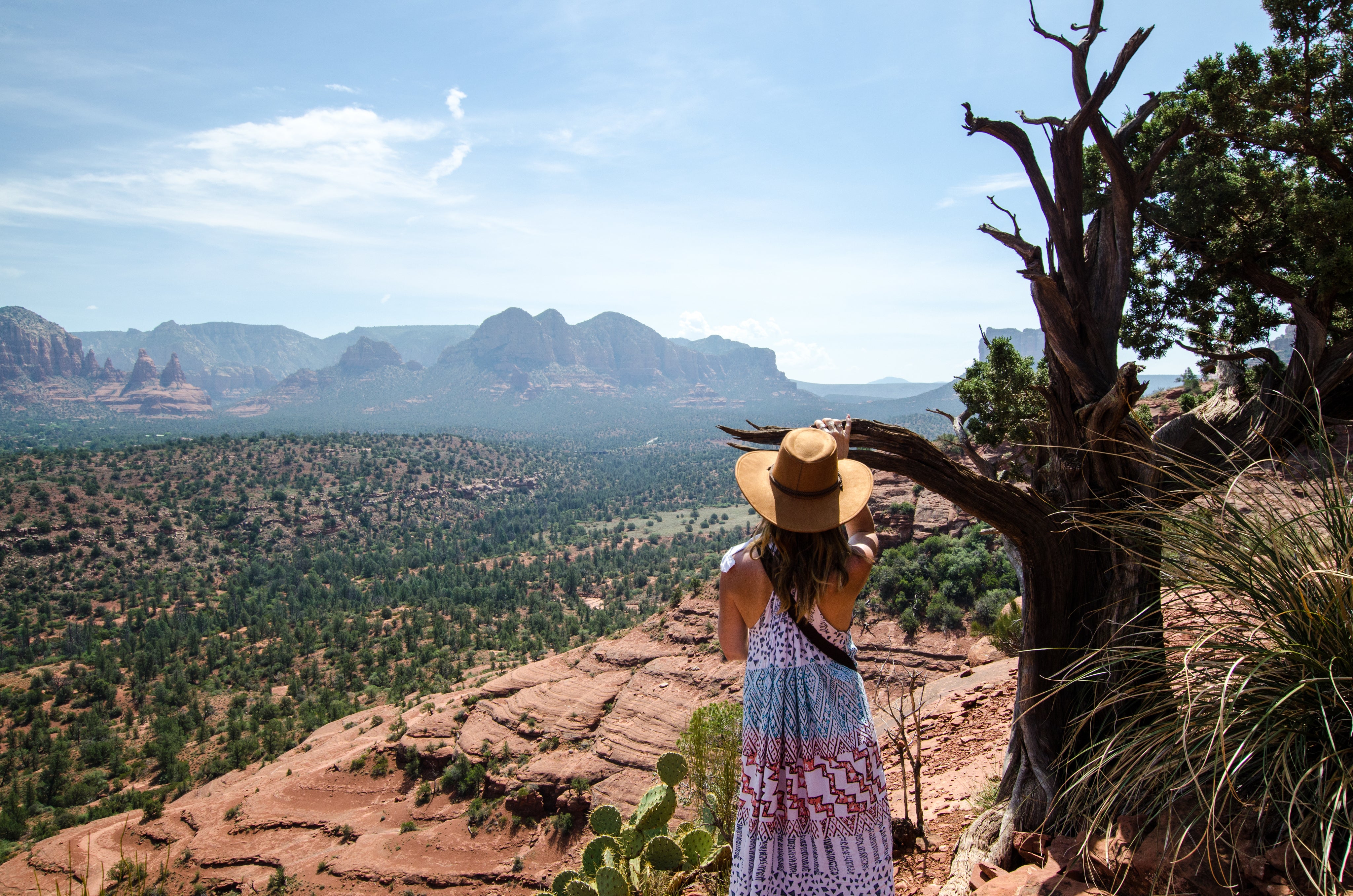 a-woman-by-a-tree-looks-down-over-valley.jpg