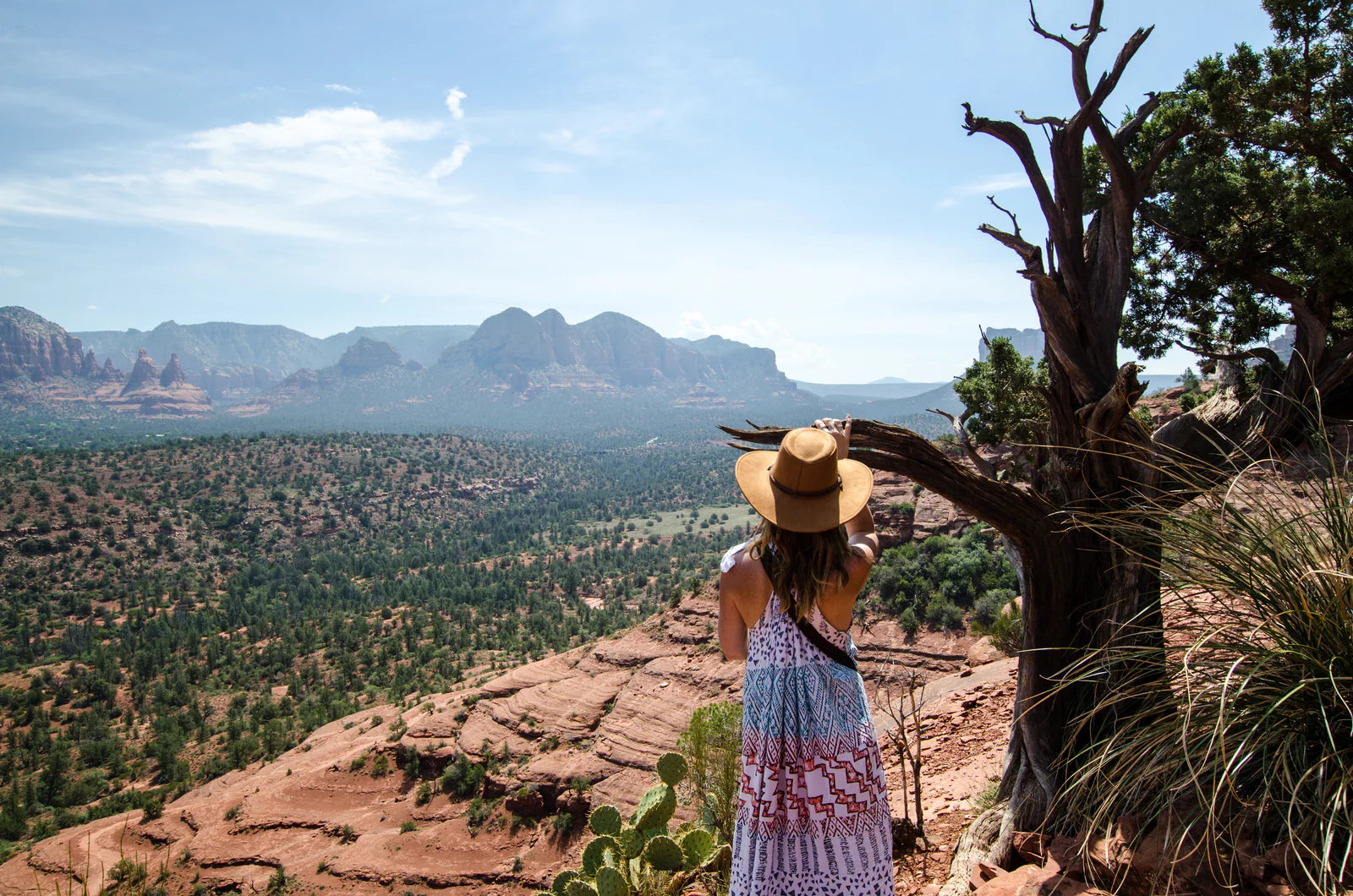 a-woman-by-a-tree-looks-down-over-valley.webp